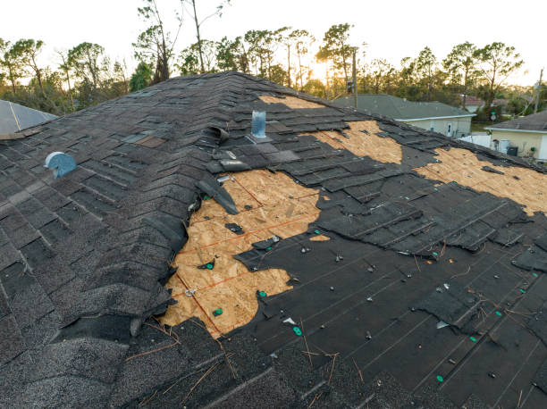 Best Rubber Roofing (EPDM, TPO)  in Kingstree, SC